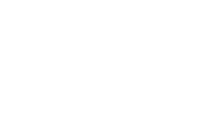 Noua Opțiune Istorică
