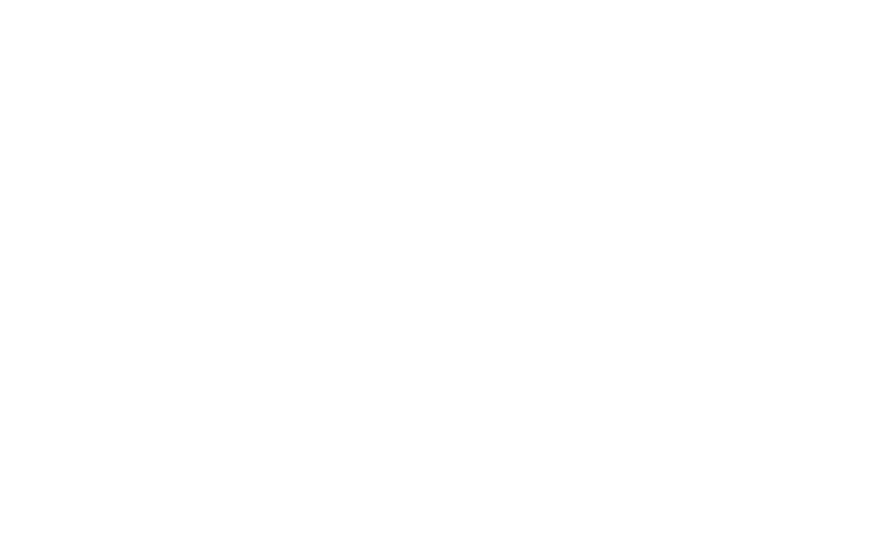 Partidul Politic Noua Optiune Istorica